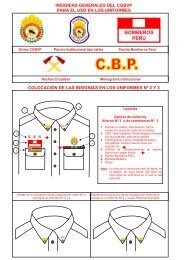 insignias generales del cgbvp - Cuerpo General de Bomberos ...