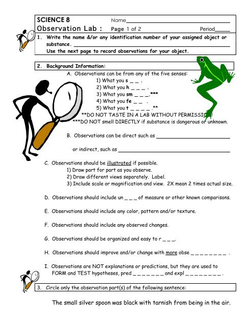 Science 8 Observation Lab Science 8 Observation Lab