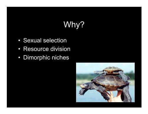 Sexual Dimorphism