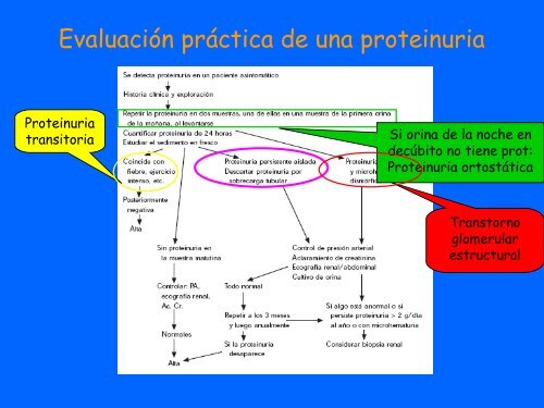 PROTEINURIA - hgucr