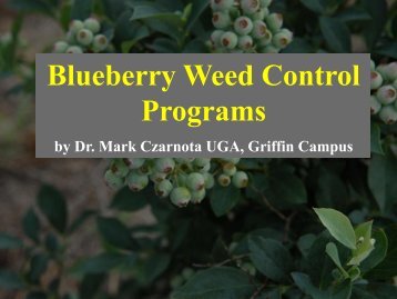 Blueberry Weed Control Programs
