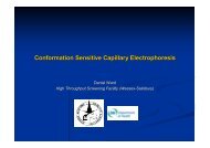 Conformation Sensitive Capillary Electrophoresis Conformation ...