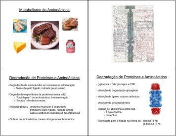 Aula - Metabolismo de aminoÃ¡cidos