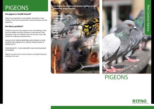 PIGEONS PIGEONS - Ards Borough Council