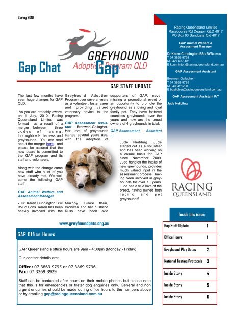 Gap Chat The Greyhound Adoption Program Of Queensland
