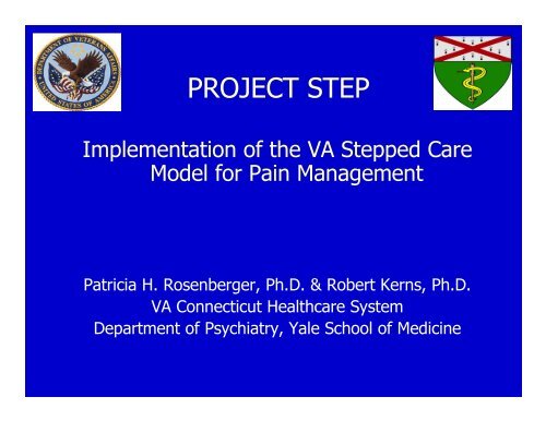 Implementation of the VA Stepped Care Model of Pain Management