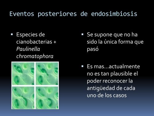 Evolución de simbiosis organelos y bacterias