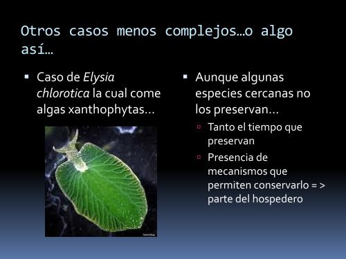 Evolución de simbiosis organelos y bacterias