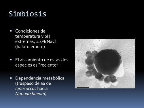 Evolución de simbiosis organelos y bacterias