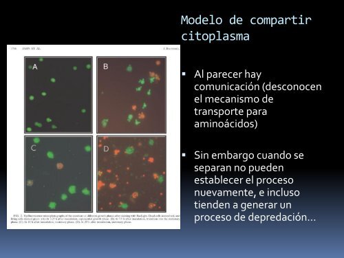 Evolución de simbiosis organelos y bacterias