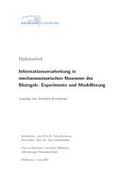 Download pdf - Computational Neuroscience - Universität Oldenburg