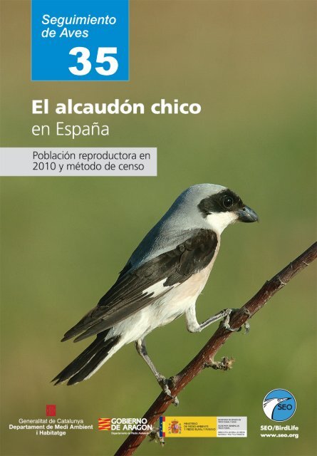 El alcaudÃ³n chico - SEO/BirdLife