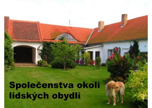 Společenstva okolí lidských obydlí