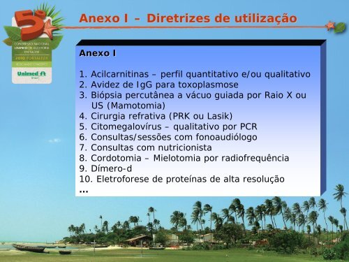 Anexo (procedimentos)