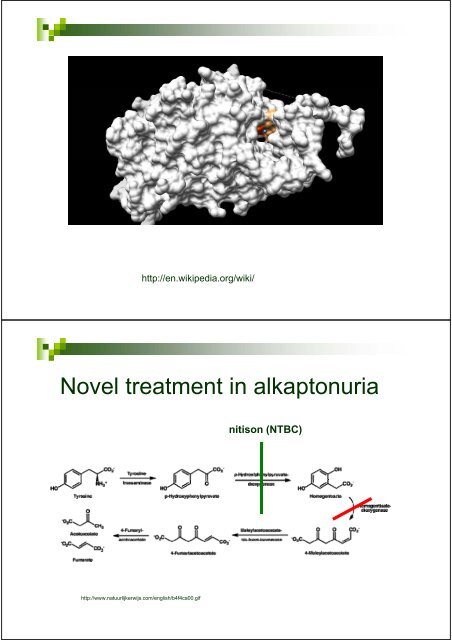 Introduction to Introduction to biochemical genetics