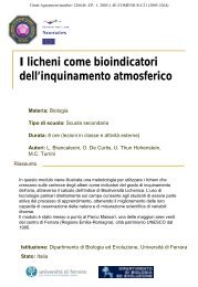 I licheni come bioindicatori dell'inquinamento atmosferico - OutLab.ie