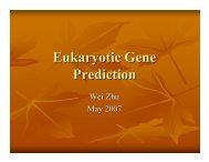 Eukaryotic Gene Prediction - Rice Genome Annotation Project