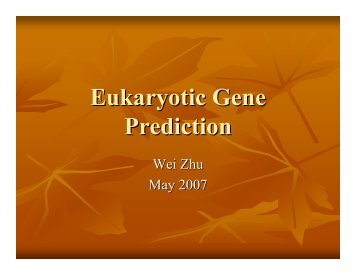 Eukaryotic Gene Prediction - Rice Genome Annotation Project