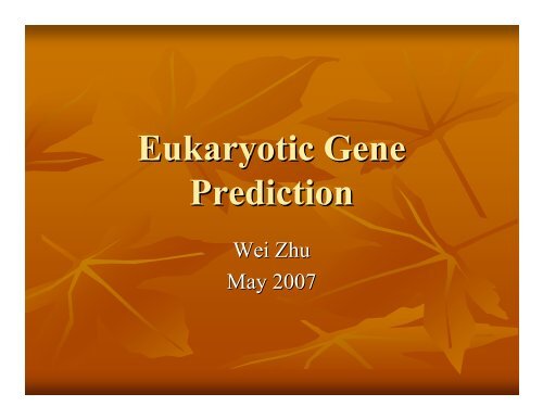 Eukaryotic Gene Prediction - Rice Genome Annotation Project