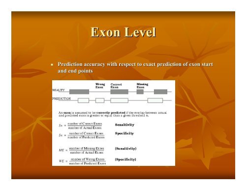 Eukaryotic Gene Prediction - Rice Genome Annotation Project