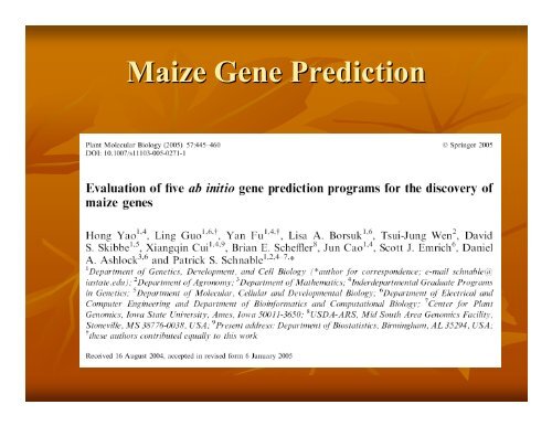 Eukaryotic Gene Prediction - Rice Genome Annotation Project