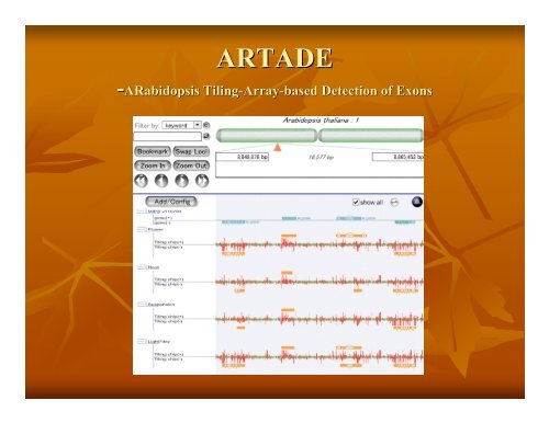 Eukaryotic Gene Prediction - Rice Genome Annotation Project