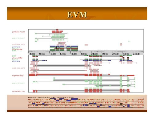 Eukaryotic Gene Prediction - Rice Genome Annotation Project