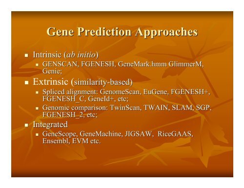Eukaryotic Gene Prediction - Rice Genome Annotation Project
