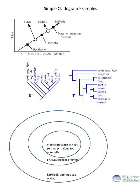 Build a Cladogram