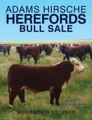 ADAMS HIRSCHE BULL SALE - Hirsche Herefords & Angus