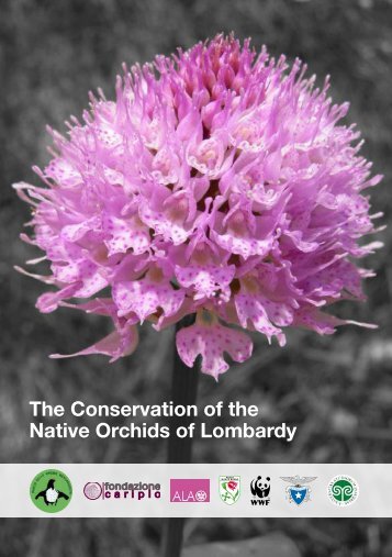 The Conservation of the Native Orchids of Lombardy