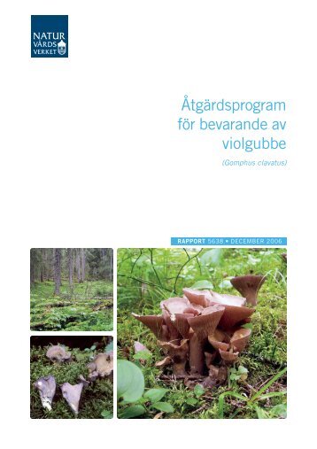 ÃtgÃ¤rdsprogram fÃ¶r bevarande av violgubbe ... - Regional Red List