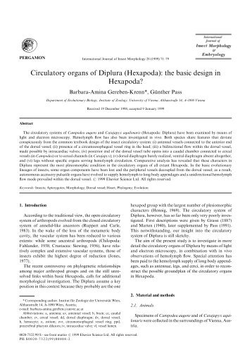 diplura magazines