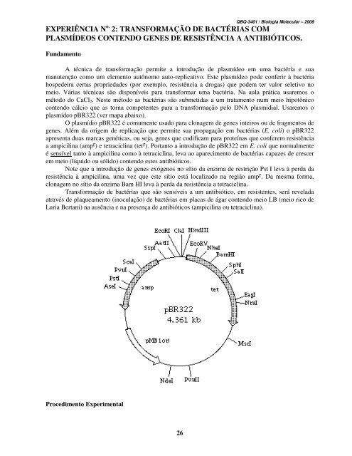 Biologia Molecular – QBQ3401 Química-Noturno 2009