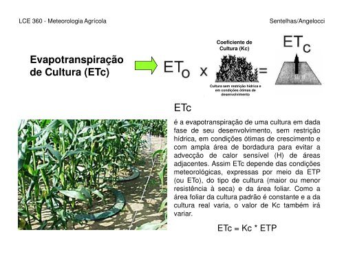 Evapotranspiração – Definições e Conceitos Evapotranspiração ...