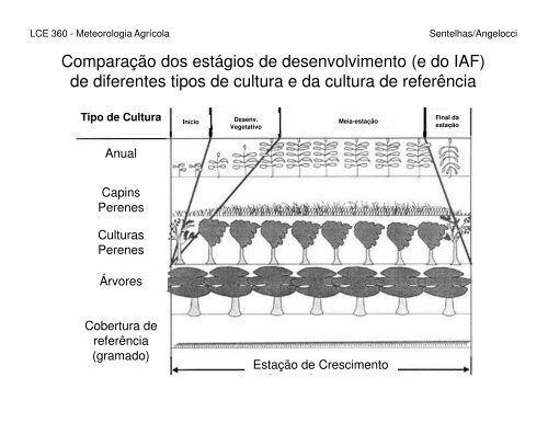 Evapotranspiração – Definições e Conceitos Evapotranspiração ...