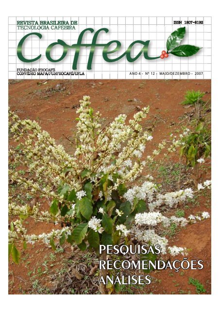 Café: Calor no Brasil e irregularidade da chuva dão novo suporte no arábica  e conilon - Revista Cafeicultura