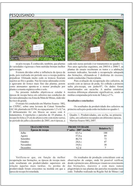 Revista Coffea - Número 12 - Fundação Procafé