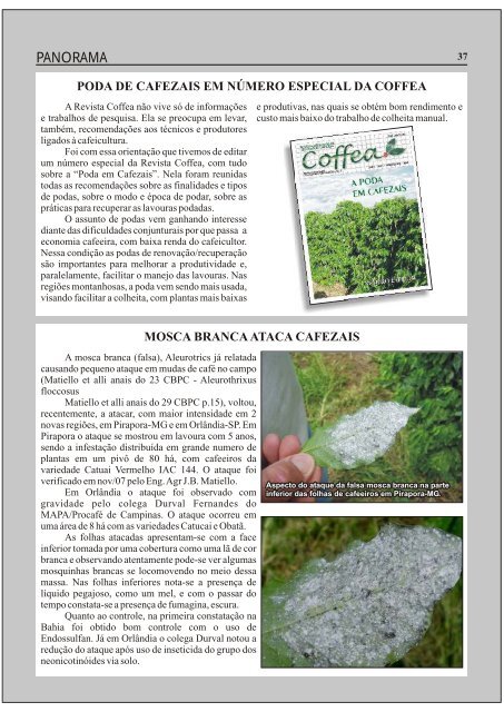 Revista Coffea - Número 12 - Fundação Procafé