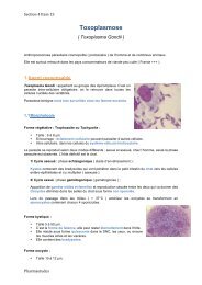 15-1-Toxoplasmose - PharmaEtudes