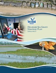 Delaware Sea Grant: Strategic Plan