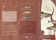 Fiche poisson - La truite de mer