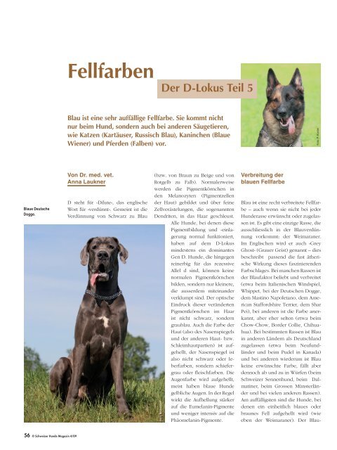 Fellfarben Der D Lokus Teil 5 Schweizer Hunde Magazin