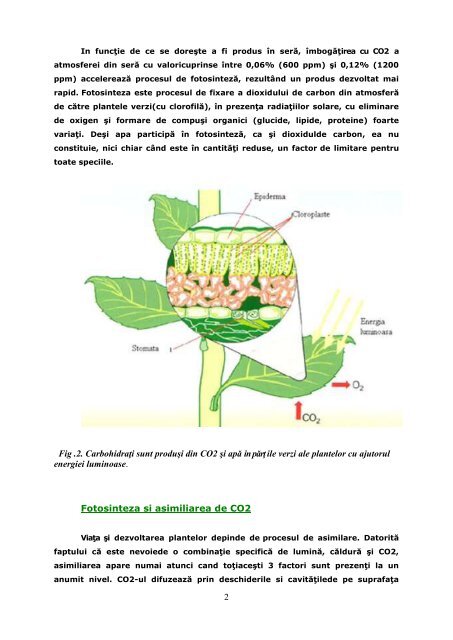 Fertilizarea cu CO2 în serele de flori şi legume - Sera Eco Solara