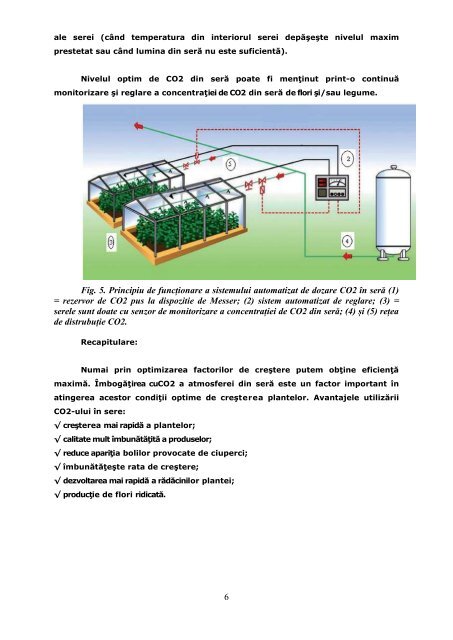 Fertilizarea cu CO2 în serele de flori şi legume - Sera Eco Solara