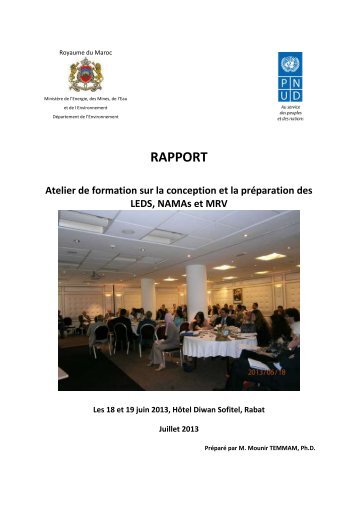 RAPPORT - International Partnership on Mitigation and MRV