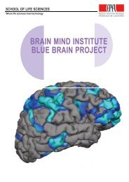 brain mind institute blue brain project - LIFE SCIENCES AT THE EPFL
