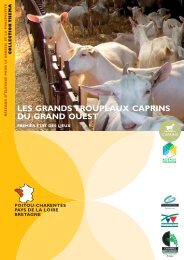 Les grands troupeaux caprins du Grand-Ouest - La Chambre d ...