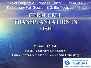 Germ Cell Transplantation in Fish - JUNBA