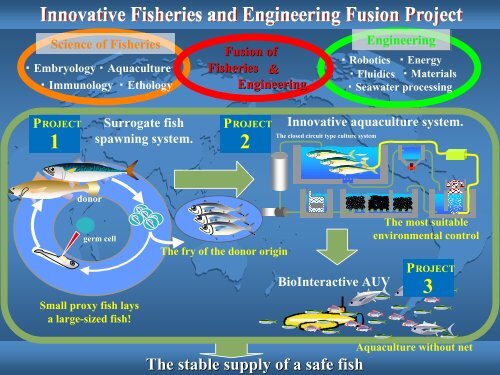 Germ Cell Transplantation in Fish - JUNBA